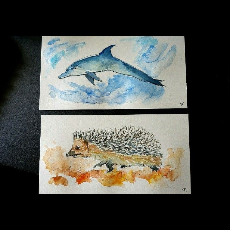 szkice zwierząt: jeż i delfin