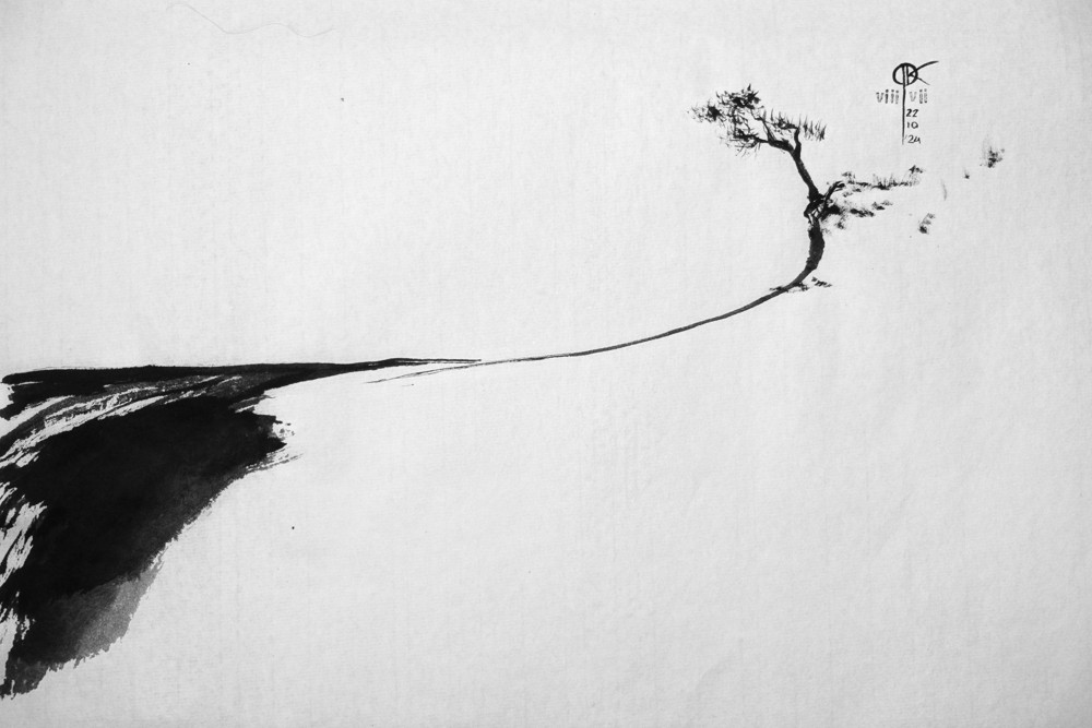 rysunek tuszem - plaża Bałtyku z sosną