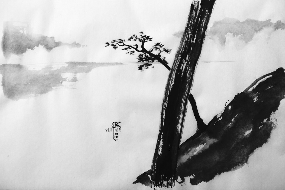 rysunek tuszem - plaża Bałtyku z sosną