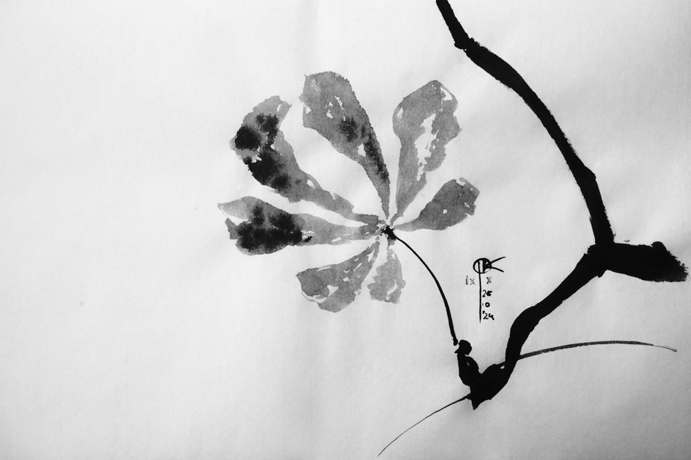 rysunek tuszem - gałązka kasztanowca