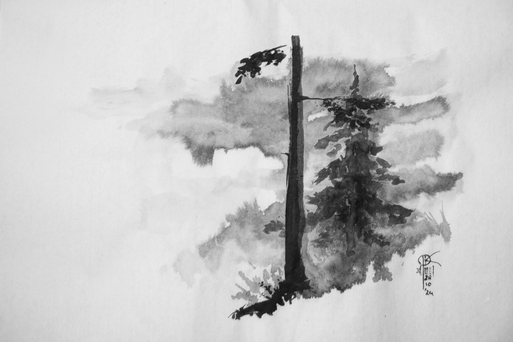 rysunek tuszem - krajobraz górski