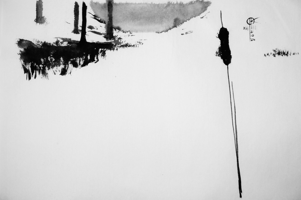 rysunek tuszem - pałki wodne