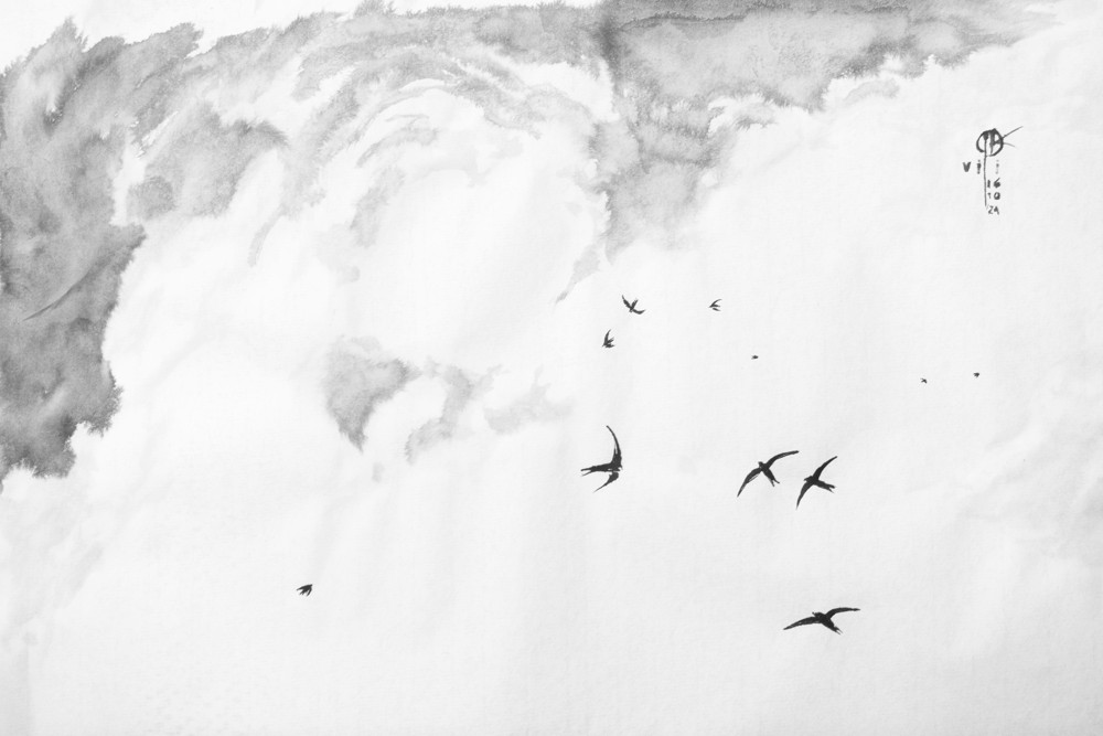 rysunek tuszem - jerzyki