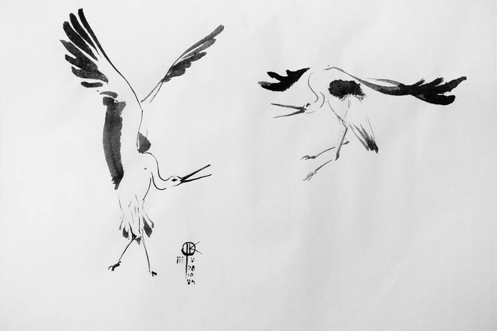 rysunek tuszem - bociany