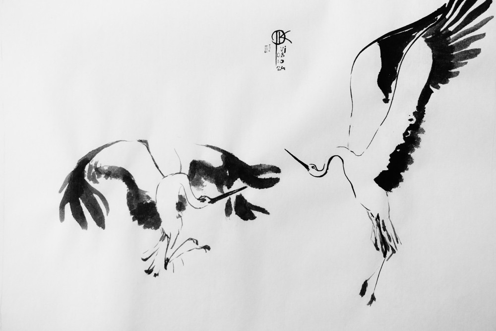 rysunek tuszem - bociany