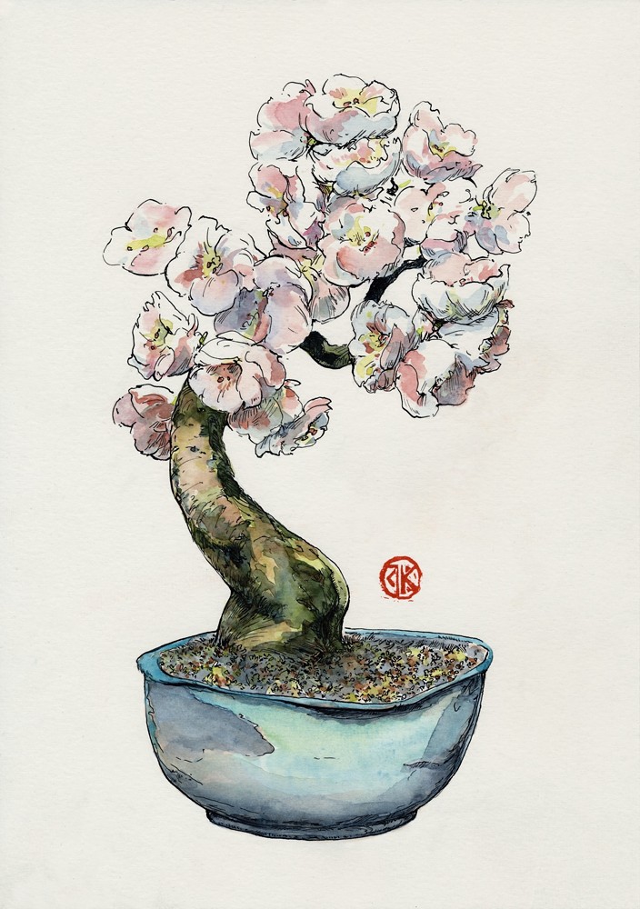 zdjęcie rysunku drzewka bonsai