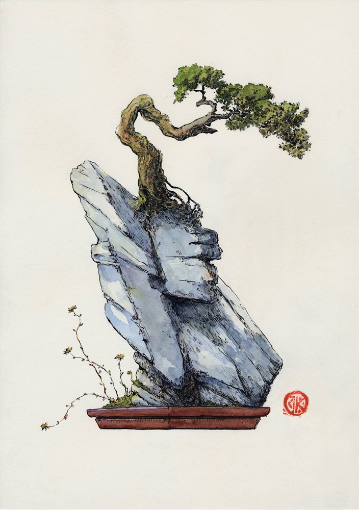 zdjęcie rysunku drzewka bonsai