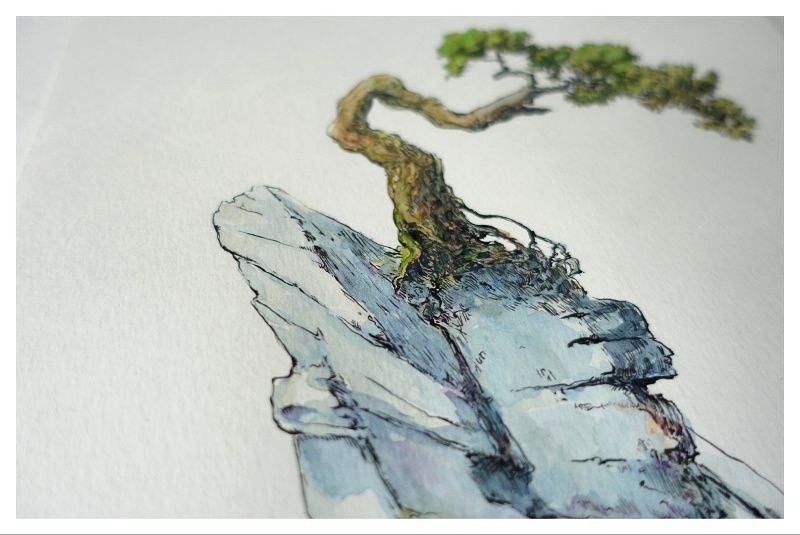 zdjęcie rysunku drzewka bonsai