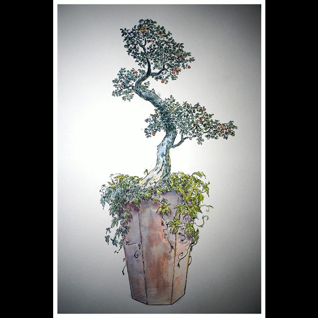 zdjęcie rysunku drzewka bonsai