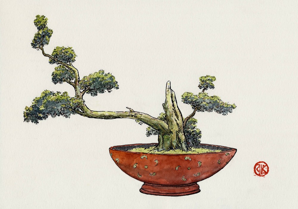 zdjęcie rysunku drzewka bonsai
