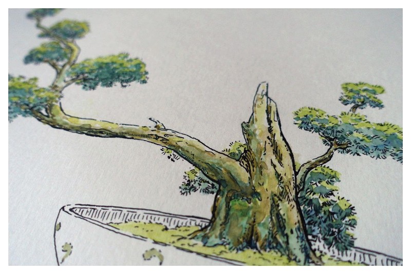 zdjęcie rysunku drzewka bonsai